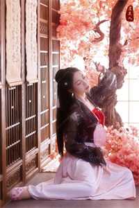 桐花深处是归途无删减+无广告