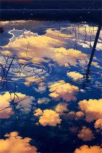 活阎王的掌心娇，重生乖爆了结局+番外