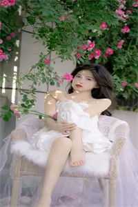 衰神附体的我在缅北学电诈后，园区老大自首了小说免费阅读