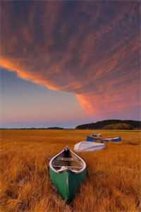 旧人不归，爱意成灰完整文集阅读