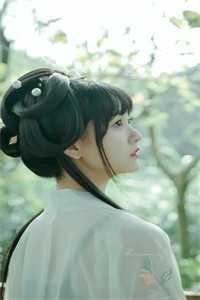 木兰归心向镇岳最新