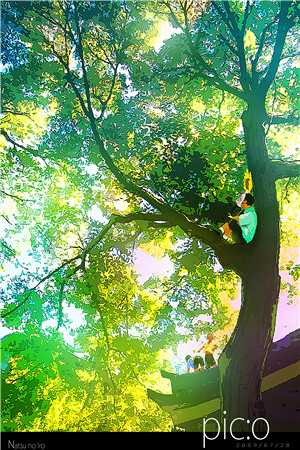 流萤晚照扰清欢火爆小说