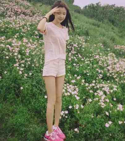 清魄渡恶魂前文+番外