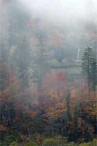 睡觉就能提升修为，震惊宗门推荐