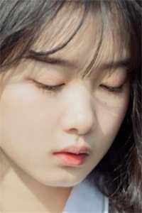 砚知山河意全篇