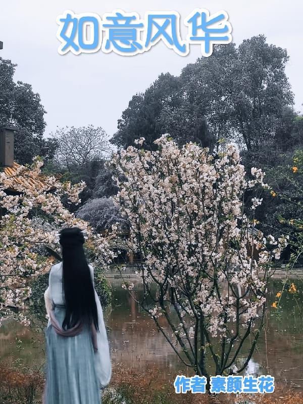 不如相忘于人海已完结版