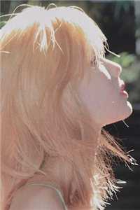 灯火阑珊待月明完整版