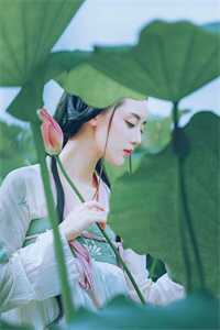 深情散尽难寻全本小说推荐