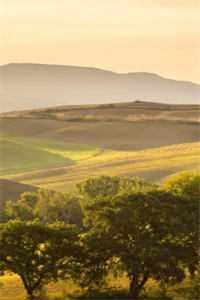 城楼月，心上雪未删节