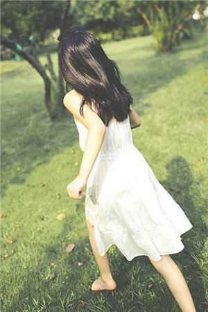 爱似花开终作泥热门推荐