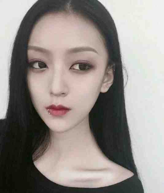 我摘星辰缀她衣连载