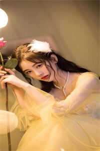 深情散尽难寻小说全文免费