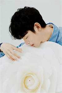 细雨洇湿了青衫全本