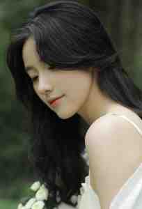 春迟梦醒不曾温已完结版